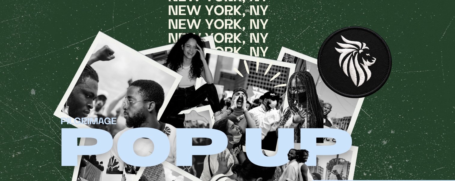 Pop Up: NYC: Bronx